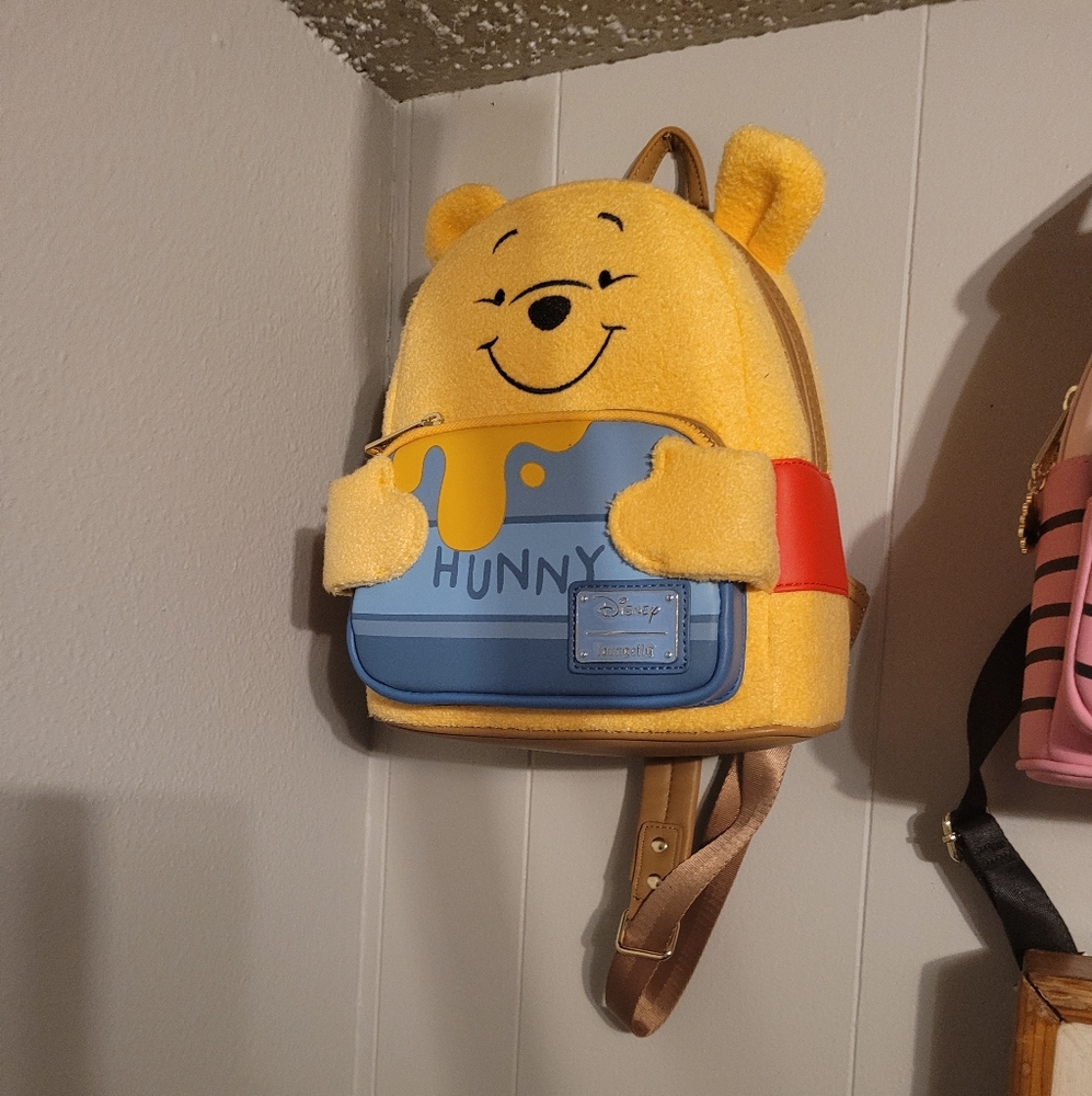 Pooh bear (fuzzy)
